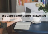 武汉云链智慧区块链公司咋样[武汉云链科技]